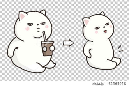 White cat diet. Before and after. White cat diet. Before and after. 81565958