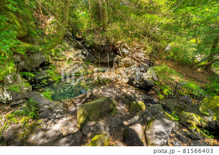 富士の湧水、パワースポット”お鬢水”（静岡県富士宮市）※作品コメント欄に撮影位置 81566403