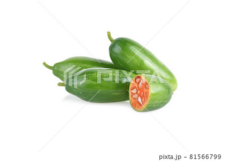Coccinia grandis raw green on a white background. 81566799