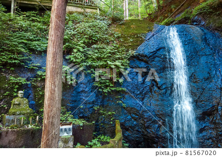 福井県 権現山の不動滝 【柳の滝】 福井県 権現山の不動滝 【柳の滝】 81567020