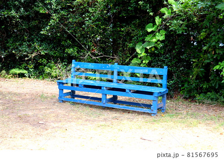 井野山　福岡県　糟屋郡　宇美町　登山　ハイキング 81567695