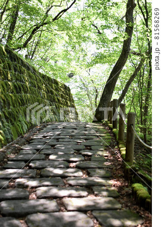 栃木県日光市　石畳 81568269