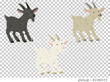 Three-color goat Three-color goat 81568535