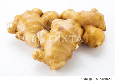 生姜 生姜 81569021