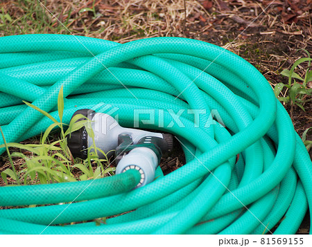 緑色のホース 81569155