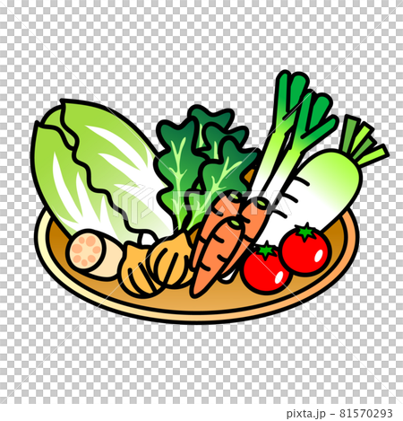 Assorted vegetables illustration Assorted vegetables illustration 81570293