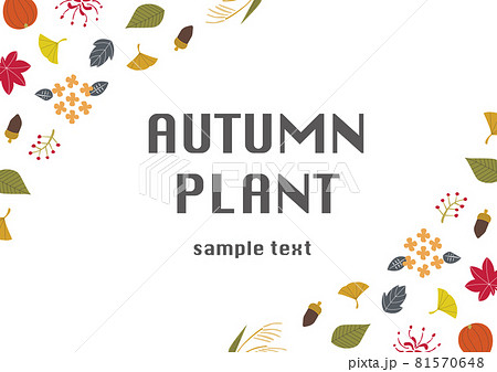 北欧風 かわいい秋の植物の背景フレーム02のイラスト素材