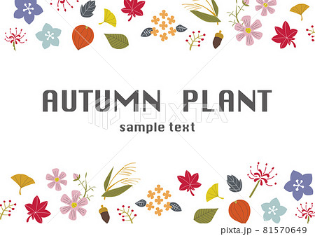 北欧風 かわいい秋の植物の背景フレーム01のイラスト素材