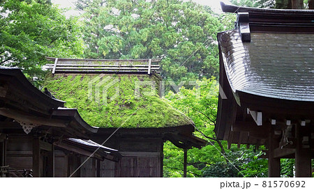 弥彦神社の境内摂社末社の屋根／新潟県西蒲原郡 81570692