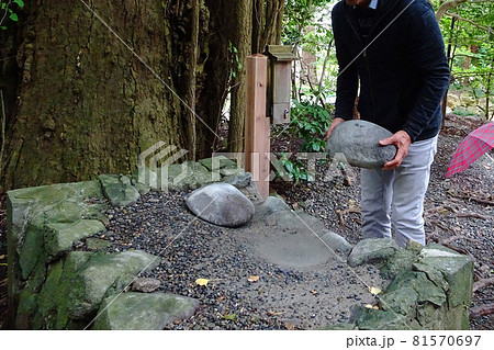 「重軽の石」を持ち上げ吉凶を占う男性【彌彦神社】／新潟県西蒲原郡 81570697