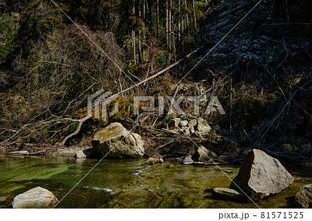 崩落　落石　崖崩れ　土砂崩れ　川の斜面が崩れる写真素材 81571525