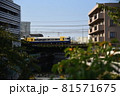 橋を通る電車 81571675