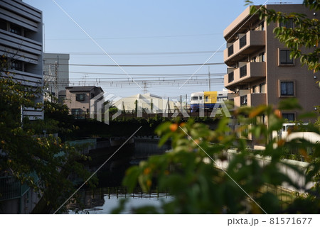 街中を走る電車 街中を走る電車 81571677