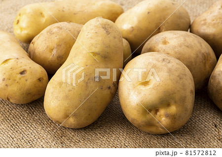 じゃがいも　男爵芋とメークイン 81572812