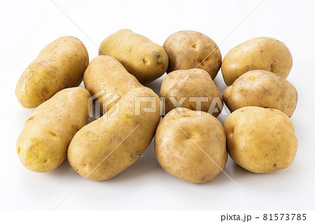 じゃがいも　男爵芋とメークイン 81573785