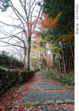 紅葉名所、滋賀県湖東三山百済寺 81574363
