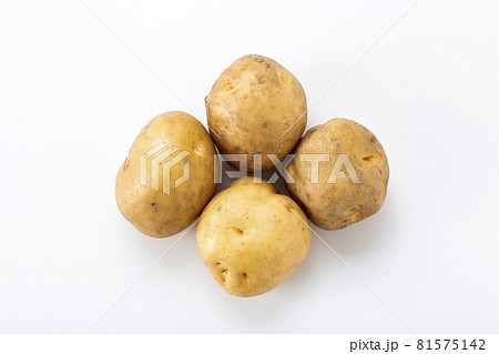 じゃがいも　男爵芋 81575142