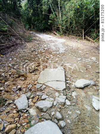 Rough road in the jungle of Asia. The countryside of Thailand Rough road in the jungle of Asia. The countryside of Thailand 81575200