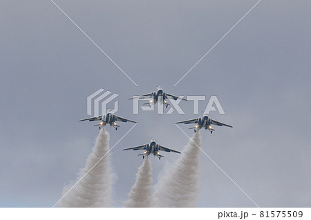 ブルーインパルス　機体正面　T4　練習機　航空自衛隊 81575509