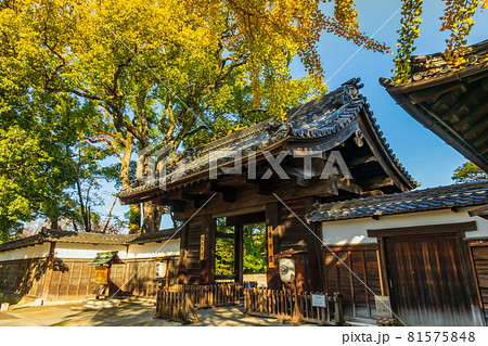 紅葉の徳川園〈愛知県名古屋市〉 紅葉の徳川園〈愛知県名古屋市〉 81575848