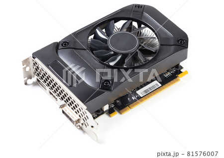 One small black PC video card isolated on white background with 81576007