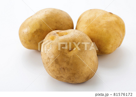 じゃがいも　男爵芋 81576172