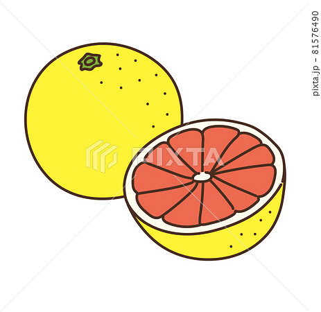 グレープフルーツ 農産物 果物 フルーツ イラストのイラスト素材