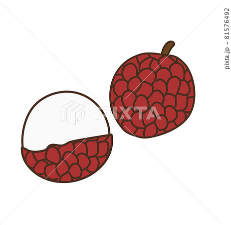 ライチ 農産物 果物 フルーツ イラストのイラスト素材