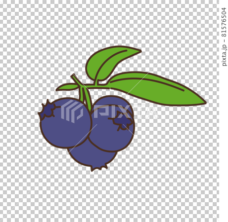 ブルーベリー 農産物 果物 フルーツ イラスト ブルーベリー 農産物 果物 フルーツ イラスト 81576504
