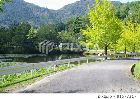 広島市安佐北区の野外研修センターこども村の池と樹々の景色 81577317