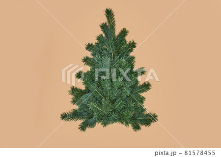 Christmas tree made of green fir branches on beige background 81578455