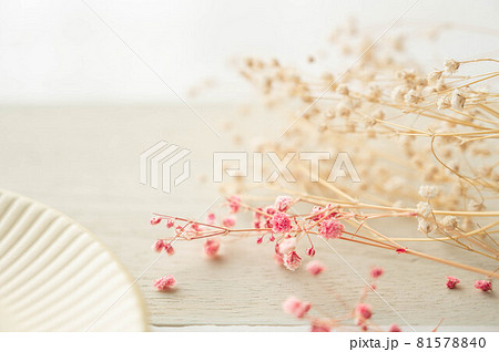 ピンクのかすみ草 ドライフラワー ピンクのかすみ草 ドライフラワー 81578840