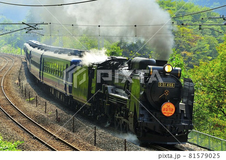 D51-498号機　SLみなかみ 81579025