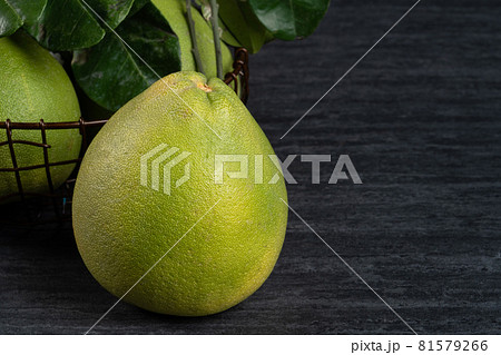 中秋 仲秋 中秋節 81579266