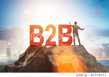 Business to business concept with businessman 81579511