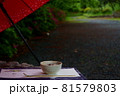 野点（沈香） 81579803