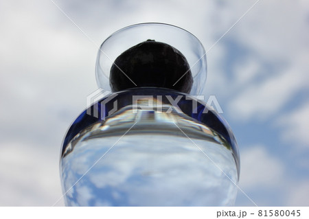 ヒヤシンス　。◯○水栽培○◯。 81580045