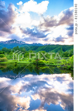 《長野県》新緑の乗鞍高原・オソメ池 《長野県》新緑の乗鞍高原・オソメ池 81580140