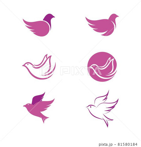 Bird wing Dove icon Template 81580184