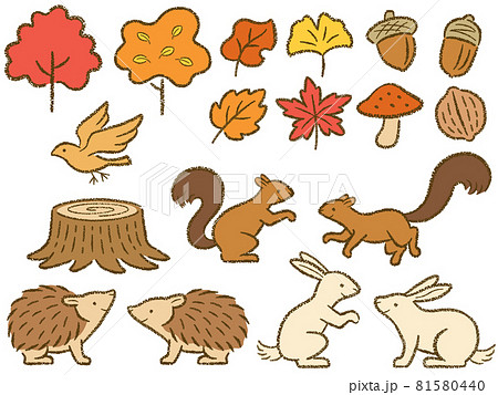 森の小動物達の手描き風イラストのイラスト素材