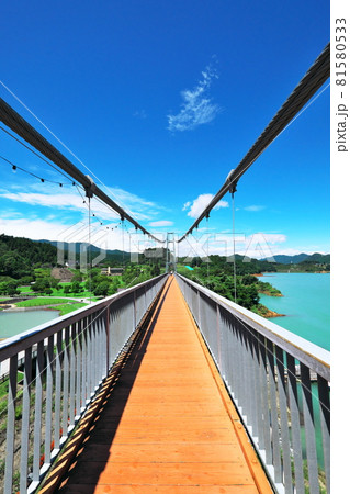 宮ケ瀬湖畔園地の大つり橋と青空 81580533