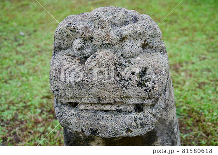 シーサーの顔 81580618