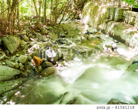 夏の清らかな渓流の景色　スローシャッターで撮った水流 81581218