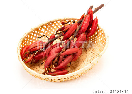 ツチアケビ 81581314