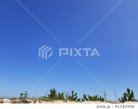 雲ひとつないグラデーションの青い空 81582690