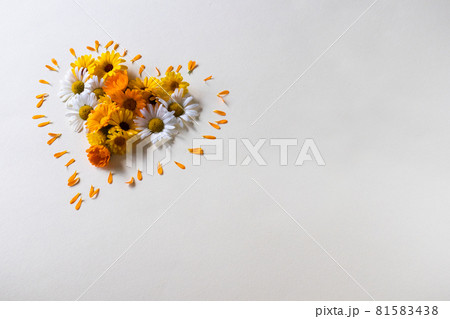 Daisy and calendula flowers in a shape of heart. Daisy and calendula flowers in a shape of heart. 81583438