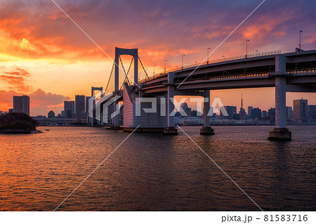 Tokyo city skyline with Rainbow Bridge and Tokyo Tower from Odaiba, Japan 81583716