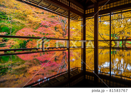 Tranquil scene of Autumn trees in Japanese garden reflects on the floor in Kyoto, Japan 81583767