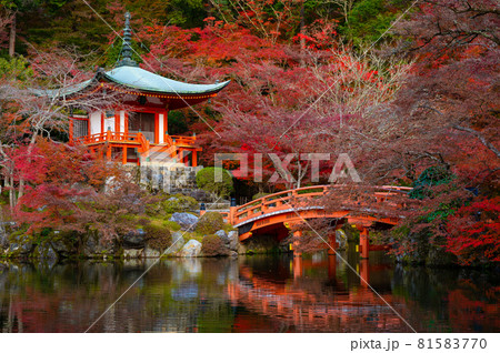 Beautiful view of Daigo-ji temple with red maple trees in autumn season in Kyoto, Japan 81583770