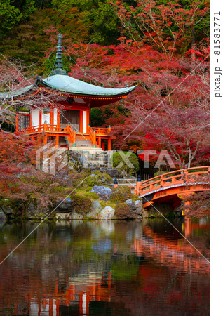 Beautiful view of Daigo-ji temple with red maple trees in autumn season in Kyoto, Japan 81583771